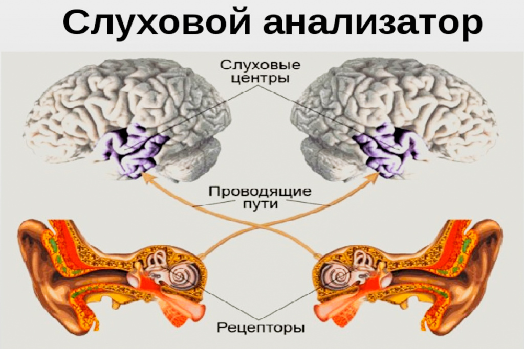 20230906-Без заголовка.jpg